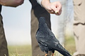 DSC04733 - Bernhard Saalfeld
