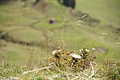DSC04752 - Bernhard Saalfeld