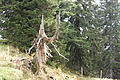 DSC04764 - Bernhard Saalfeld