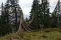 DSC04765 - Bernhard Saalfeld