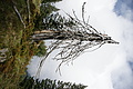DSC04773 - Bernhard Saalfeld