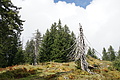 DSC04774 - Bernhard Saalfeld