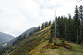 DSC04775 - Bernhard Saalfeld