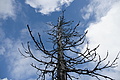 DSC04776 - Bernhard Saalfeld