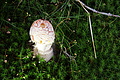 DSC04779 - Bernhard Saalfeld