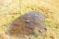 DSC04784 - Bernhard Saalfeld