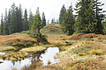 DSC04787 - Bernhard Saalfeld