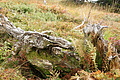 DSC04788 - Bernhard Saalfeld