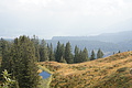 DSC04801 - Bernhard Saalfeld