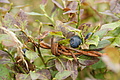 DSC04808 - Bernhard Saalfeld