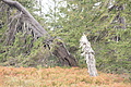 DSC04809 - Bernhard Saalfeld