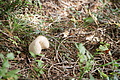 DSC04813 - Bernhard Saalfeld