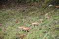 DSC04819 - Bernhard Saalfeld