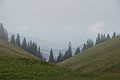 DSC04829 - Bernhard Saalfeld