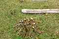 DSC04830 - Bernhard Saalfeld