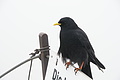 DSC04837 - Bernhard Saalfeld
