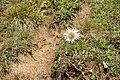 DSC04859 - Bernhard Saalfeld
