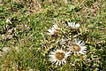 DSC04865 - Bernhard Saalfeld