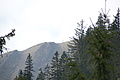 DSC04883 - Bernhard Saalfeld