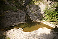 DSC04886 - Bernhard Saalfeld