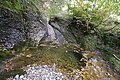DSC04889 - Bernhard Saalfeld
