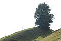 DSC04891 - Bernhard Saalfeld