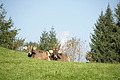 DSC04931 - Bernhard Saalfeld