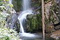 DSC04934 - Bernhard Saalfeld