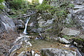 DSC04957 - Bernhard Saalfeld