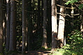 DSC04972 - Bernhard Saalfeld