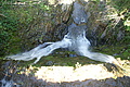 DSC04976 - Bernhard Saalfeld