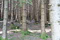 DSC04981 - Bernhard Saalfeld