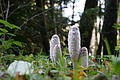 DSC04984 - Bernhard Saalfeld