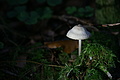 DSC04987 - Bernhard Saalfeld