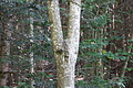 DSC04992 - Bernhard Saalfeld