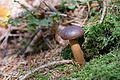 DSC04996 - Bernhard Saalfeld