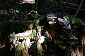 DSC04998 - Bernhard Saalfeld
