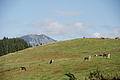 DSC05000 - Bernhard Saalfeld