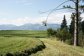 DSC05003 - Bernhard Saalfeld