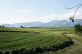 DSC05004 - Bernhard Saalfeld