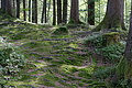 DSC05006 - Bernhard Saalfeld