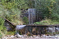 DSC05007 - Bernhard Saalfeld