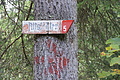DSC05012 - Bernhard Saalfeld