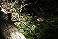 DSC05020 - Bernhard Saalfeld