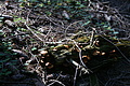 DSC05022 - Bernhard Saalfeld