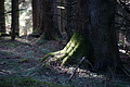 DSC05025 - Bernhard Saalfeld