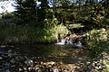 DSC05033 - Bernhard Saalfeld