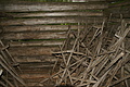 DSC05036 - Bernhard Saalfeld