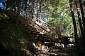DSC05040 - Bernhard Saalfeld