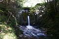 DSC05042 - Bernhard Saalfeld